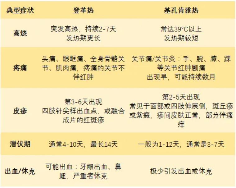 重要提醒：基孔肯雅热禁用这种常见药，或加重关节损伤！